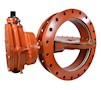 Butterfy Valves AWWA C504 CLASS 150 B & 250 B